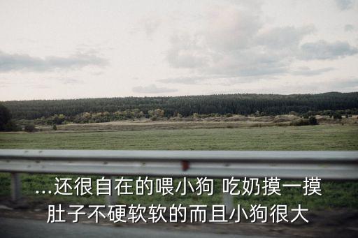 吃奶摸