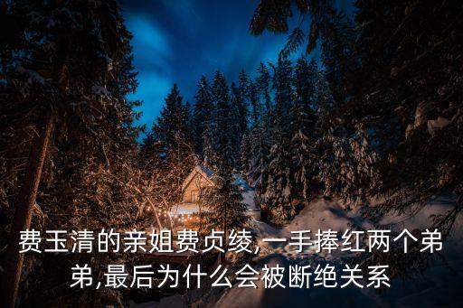 費玉清的親姐費貞綾,一手捧紅兩個弟弟,最后為什么會被斷絕關(guān)系