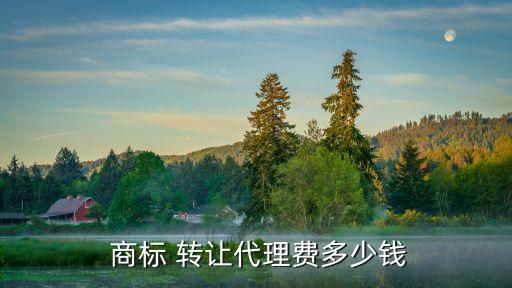 商標(biāo)轉(zhuǎn)讓費(fèi)用