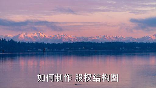 公司股權(quán)架構(gòu)設(shè)計方案
