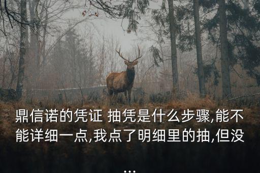鼎信諾的憑證 抽憑是什么步驟,能不能詳細(xì)一點(diǎn),我點(diǎn)了明細(xì)里的抽,但沒(méi)...