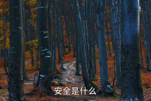 安全是什么