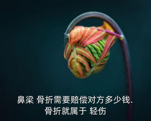  鼻梁 骨折需要賠償對(duì)方多少錢. 骨折就屬于 輕傷