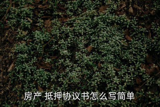 抵押合同的標(biāo)準(zhǔn)版本A3