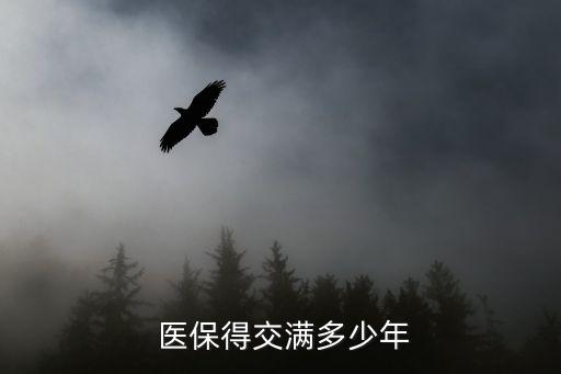 醫(yī)保年限