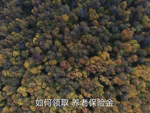 養(yǎng)老保險怎么領(lǐng),60歲居民養(yǎng)老保險怎么領(lǐng)