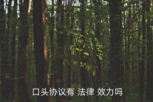 口頭合作有法律效力嗎,口頭說的話有法律效力嗎