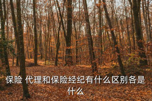 保險(xiǎn)代理