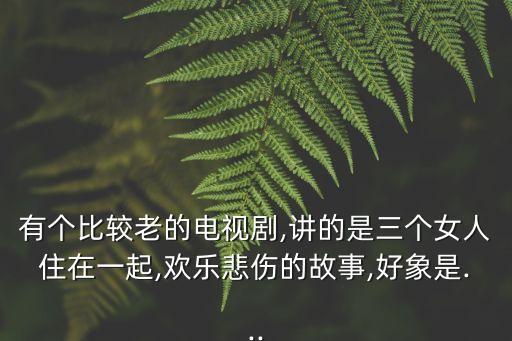 嚴中華