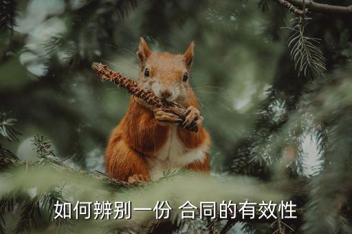 怎么樣看出合同有法律效益,退股合同怎么樣才有法律