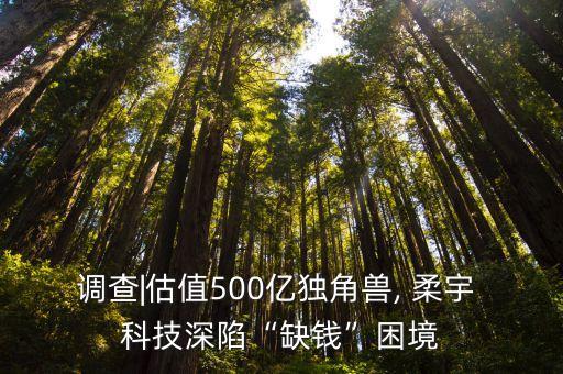 柔宇科技被曝已6個月發(fā)不出工資