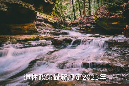 退休制度,干部榮譽退休制度
