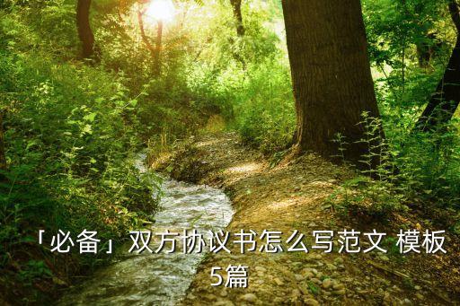 「必備」雙方協(xié)議書怎么寫范文 模板5篇