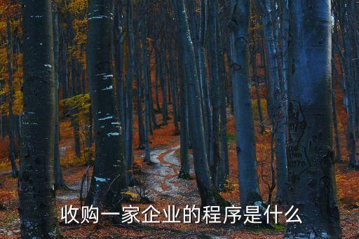  收購一家企業(yè)的程序是什么