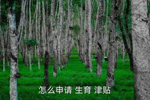 生育津貼辦理流程,佛山南海生育津貼辦理流程