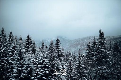 人保車(chē)險(xiǎn)