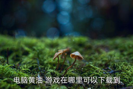 黃游戲網(wǎng)站,可以和女性角色做的手機(jī)游戲