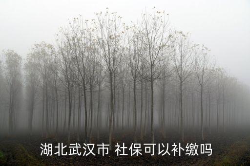 湖北社保