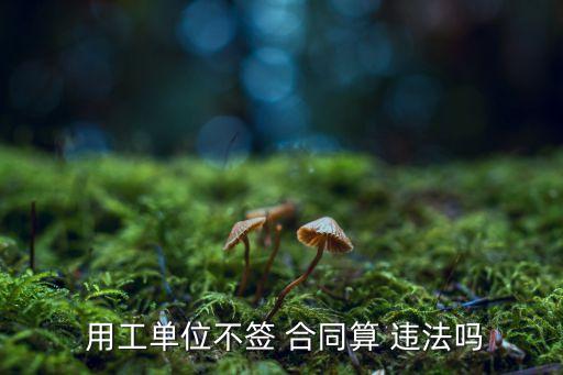 用工不簽訂勞動(dòng)合同違法嗎,沒簽合同一告一個(gè)準(zhǔn)嗎