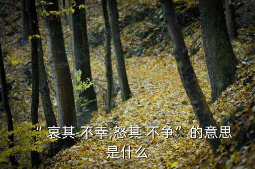 哀其不幸怒其不爭