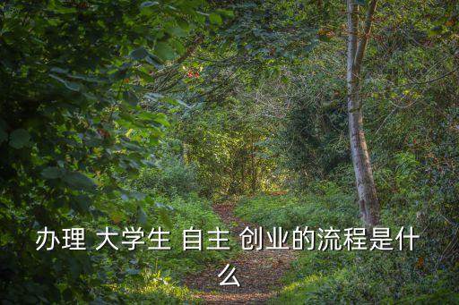 辦理 大學生 自主 創(chuàng)業(yè)的流程是什么