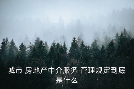房地產(chǎn)管理