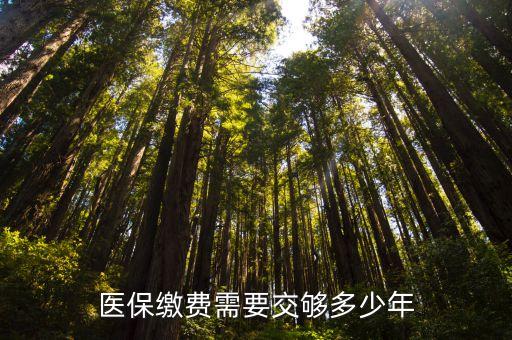 醫(yī)療保險(xiǎn)交多少年,河北省醫(yī)療保險(xiǎn)交多少年