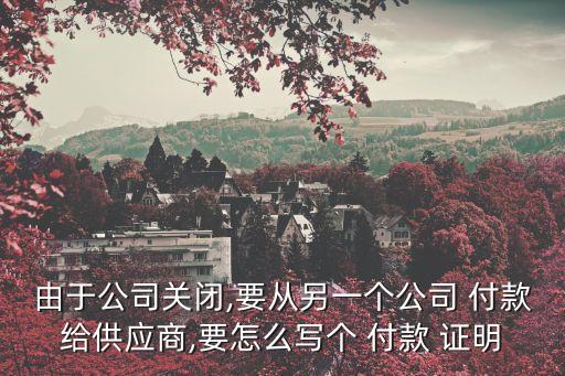付款證明,個人代付款證明