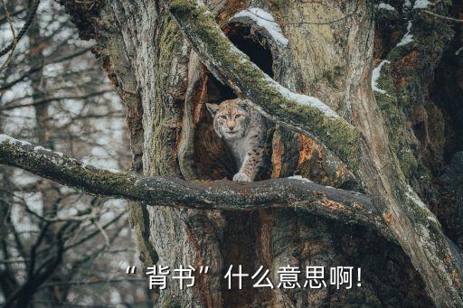 背書是什么意思,職場上說背書是什么意思