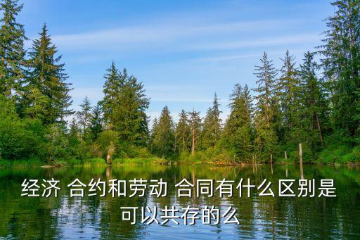 合同與合約的區(qū)別,貸款合同編號(hào)和貸款合約號(hào)的區(qū)別