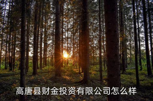 鄒海濤