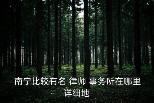  南寧比較有名 律師 事務(wù)所在哪里詳細(xì)地