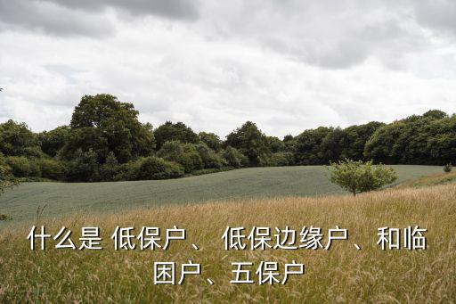 什么是 低保戶、 低保邊緣戶、和臨困戶、五保戶