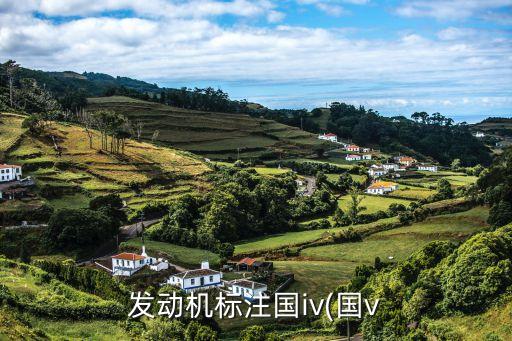 國(guó)V,國(guó)vi b是什么意思啊