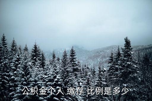 公積金個人 繳存 比例是多少