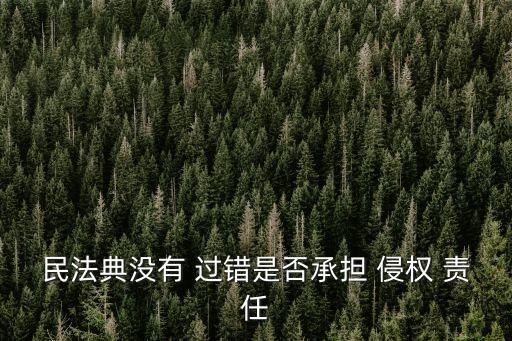 無過錯(cuò)侵權(quán)責(zé)任