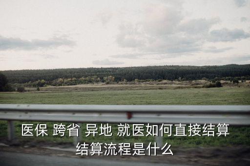 跨省異地就醫(yī)