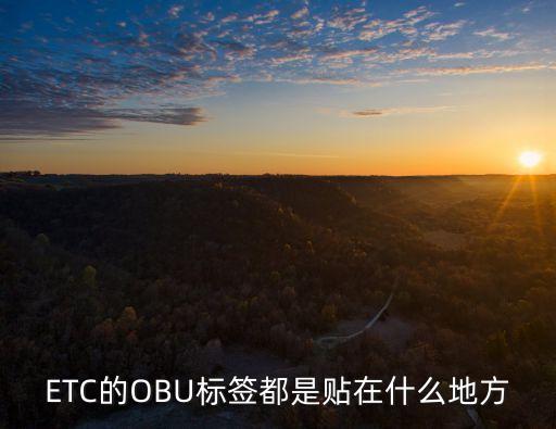 obu是什么,OBU是什么意思