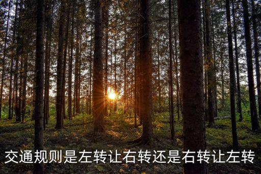 右讓左