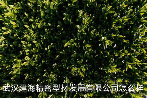 許建斌