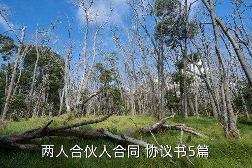 餐飲合作協(xié)議書范本 二人,最新二人合伙協(xié)議書簡單一點