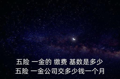 五險(xiǎn)一金繳費(fèi)基數(shù),北京五險(xiǎn)一金繳費(fèi)基數(shù)
