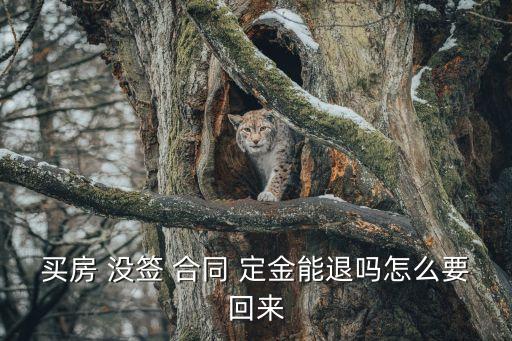 沒簽合同退定金的最好辦法,一時沖動交了定金還能退回嗎