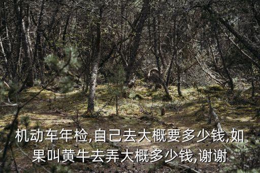 驗車需要多少錢,小型汽車驗車一般需要多少錢