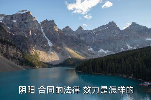陰陽(yáng)合同效力如何認(rèn)定的,民法典陰陽(yáng)合同效力認(rèn)定