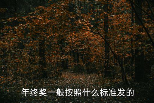 年終獎一般是多少,華友鈷業(yè)年終獎一般是多少