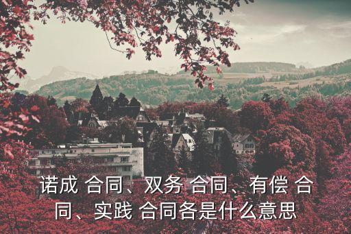  諾成 合同、雙務(wù) 合同、有償 合同、實(shí)踐 合同各是什么意思