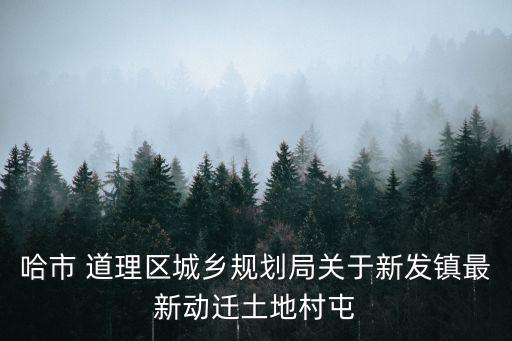 道理區(qū)