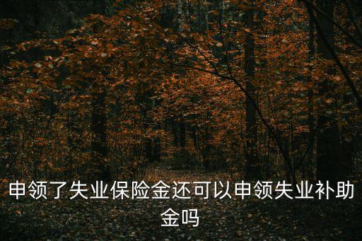 申領(lǐng)了失業(yè)保險(xiǎn)金還可以申領(lǐng)失業(yè)補(bǔ)助金嗎