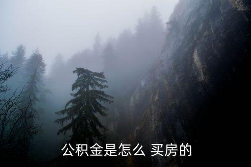公積金買房
